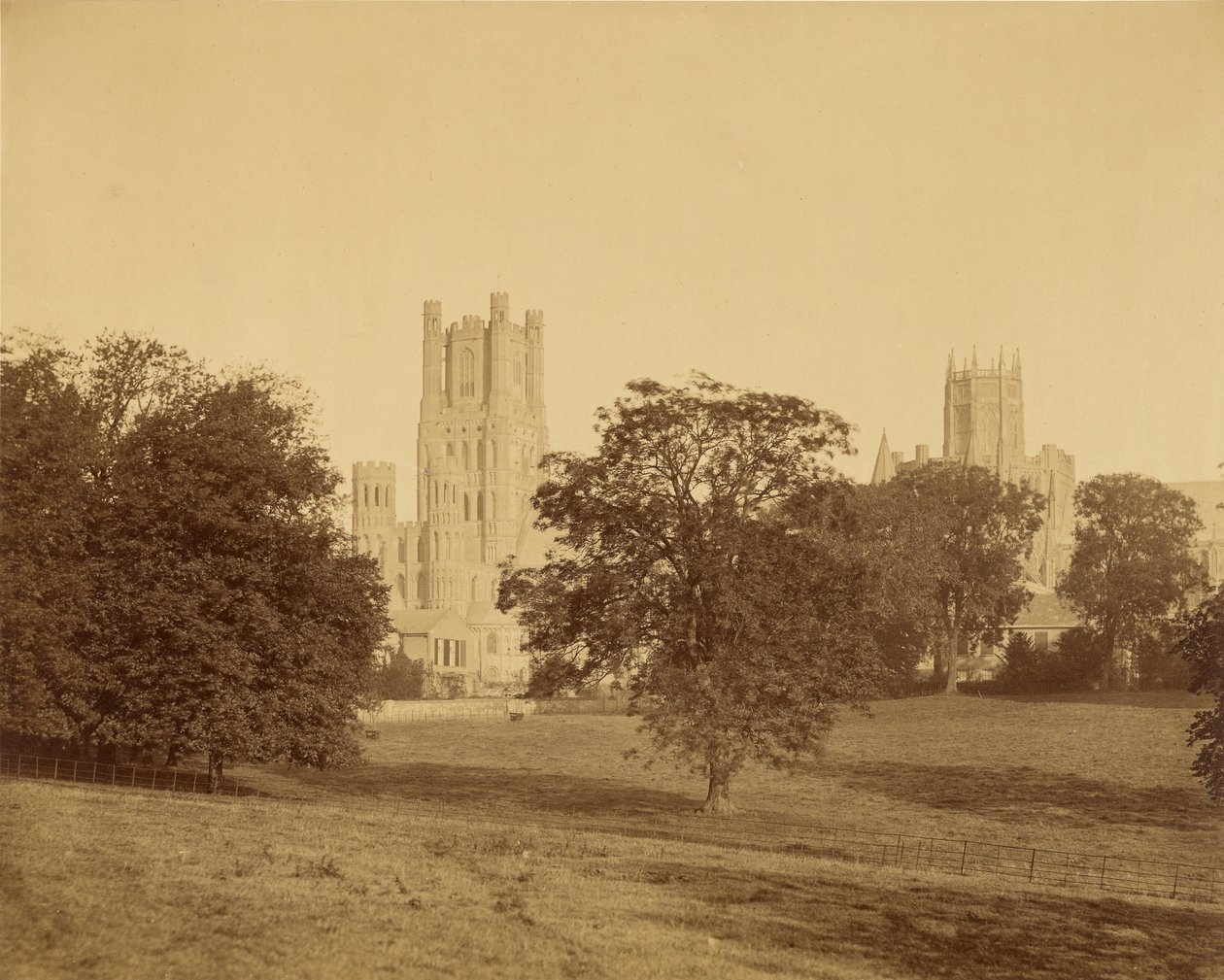 La cathédrale d