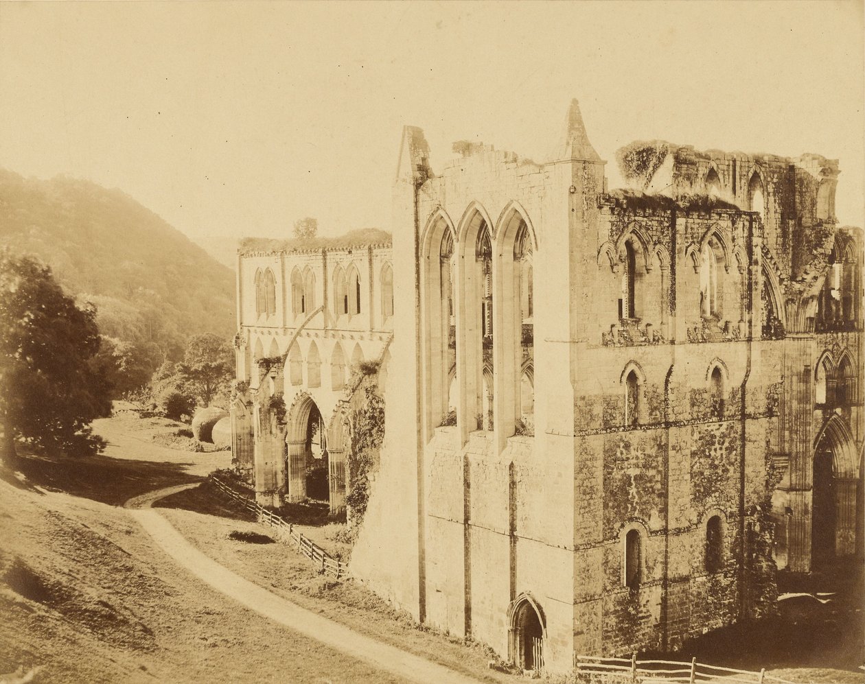Abbaye de Rievaulx - Roger Fenton