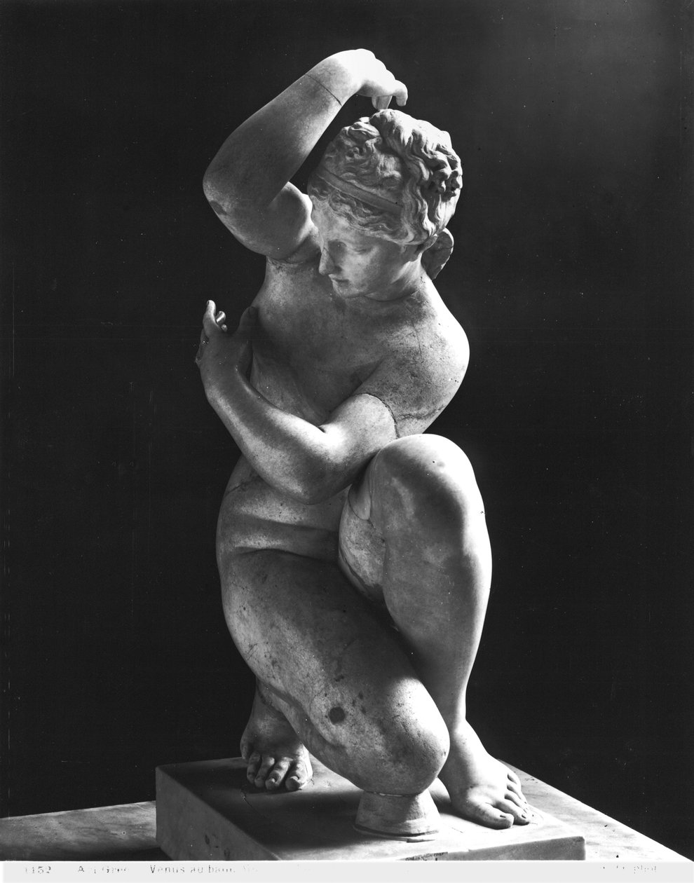 Vénus accroupie, copie d