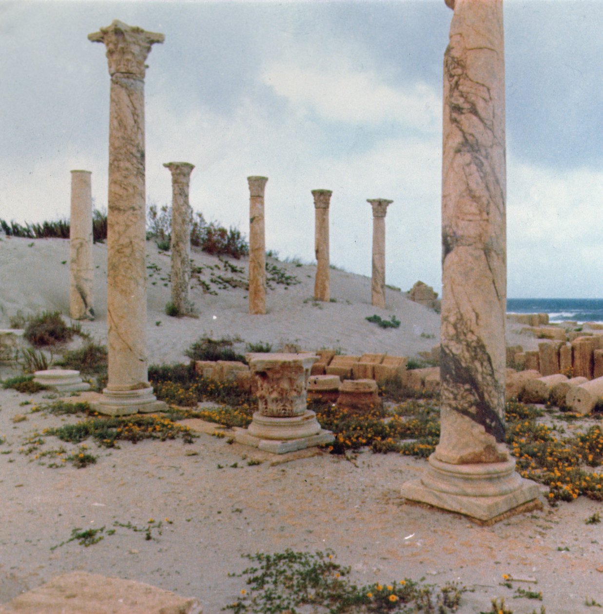 Fouilles dans les Dunes - Roman