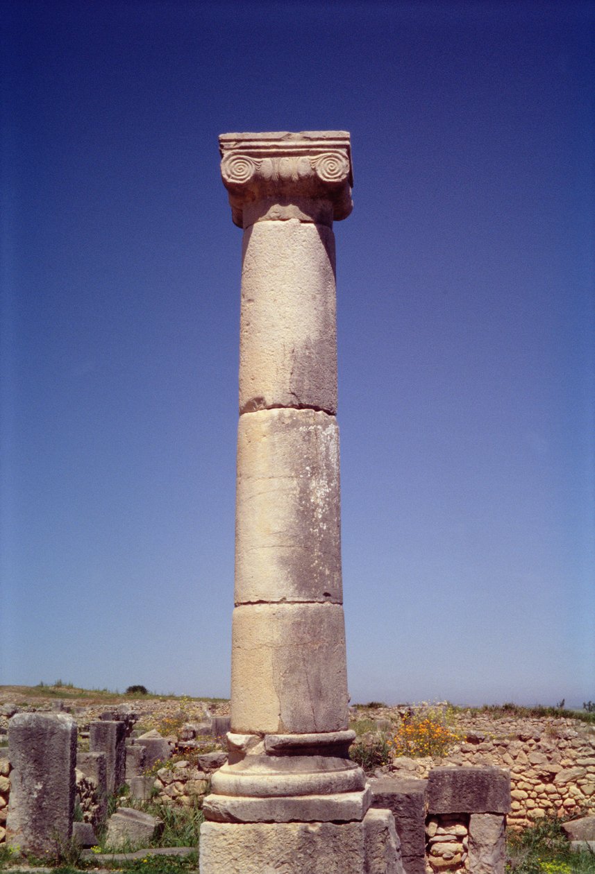 Colonne ionique sur le Decumanus Maximus - Roman