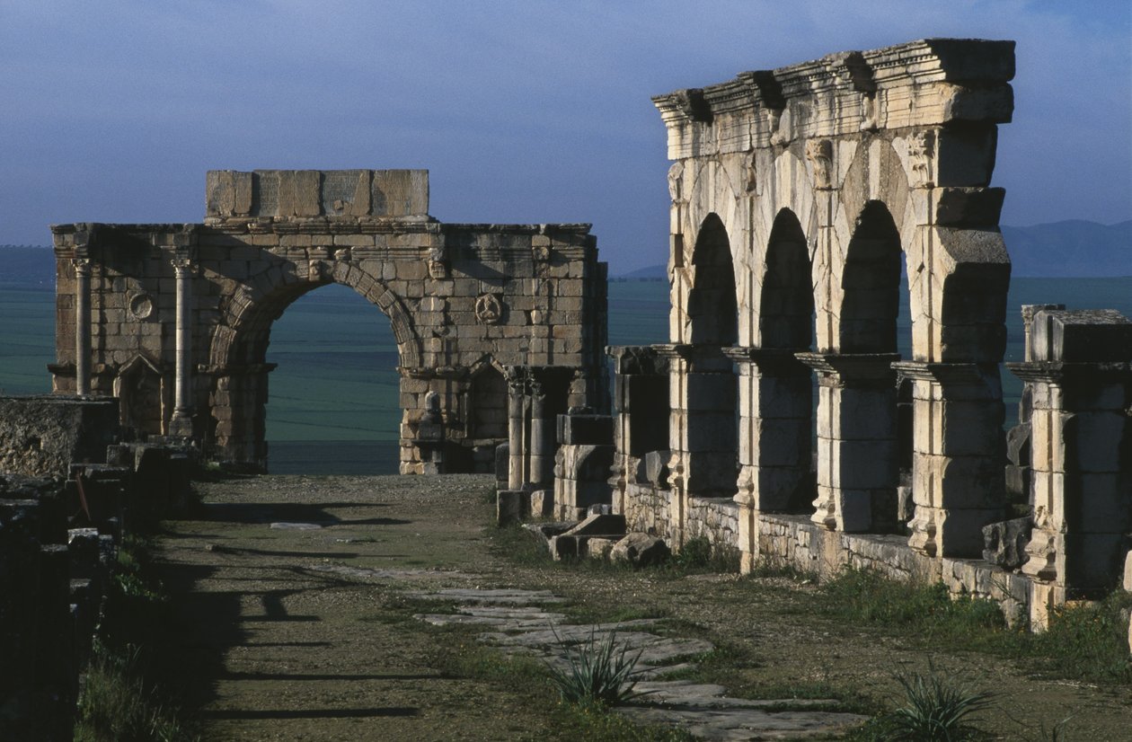 Portique sur le Decumanus Maximus et arc de triomphe de Caracalla - Roman