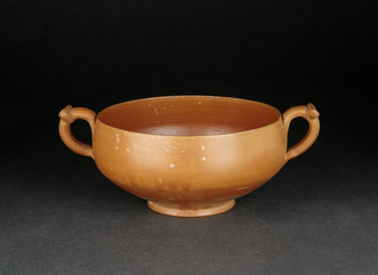 Coupe à parois fines - Roman