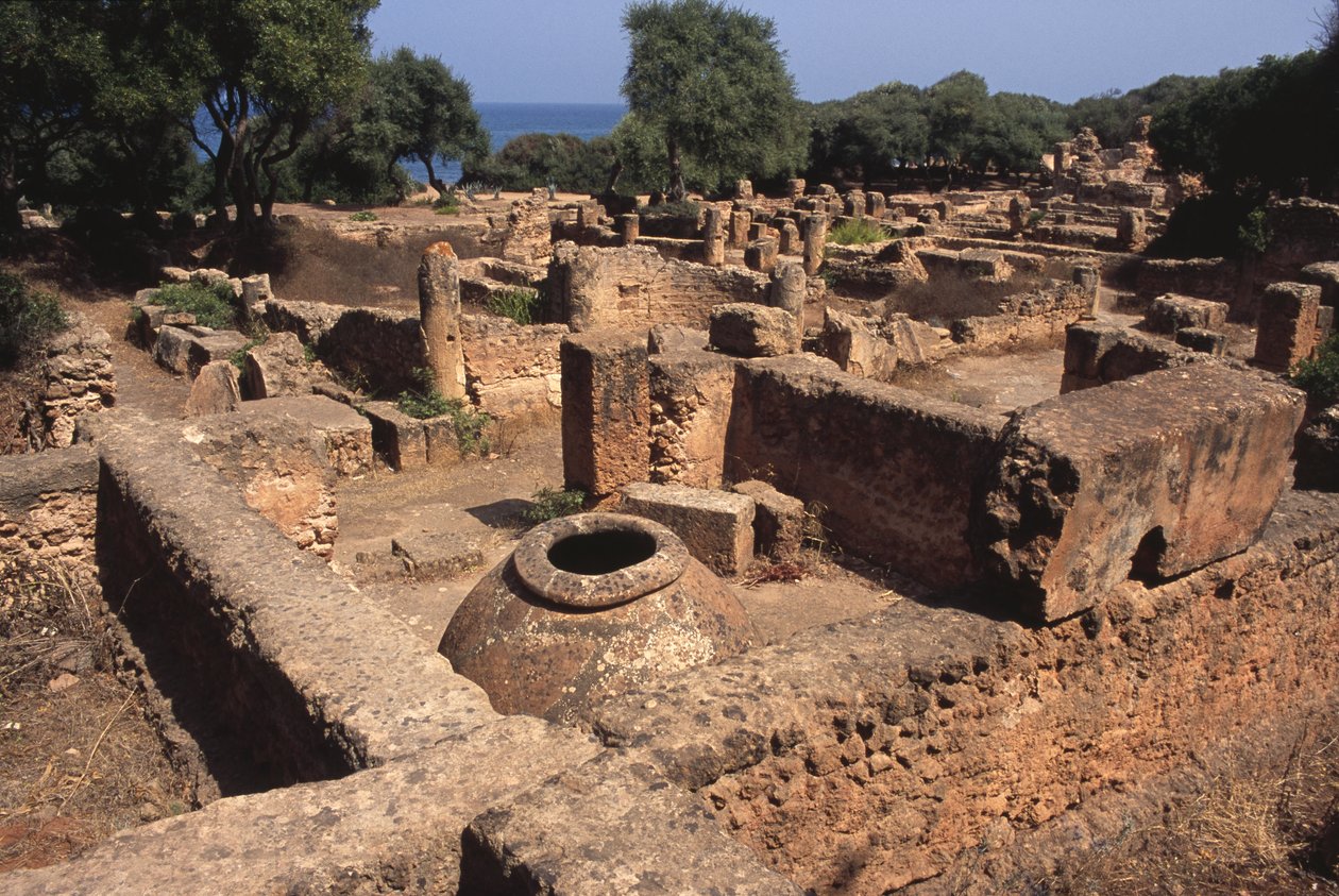 Vue du site - Roman