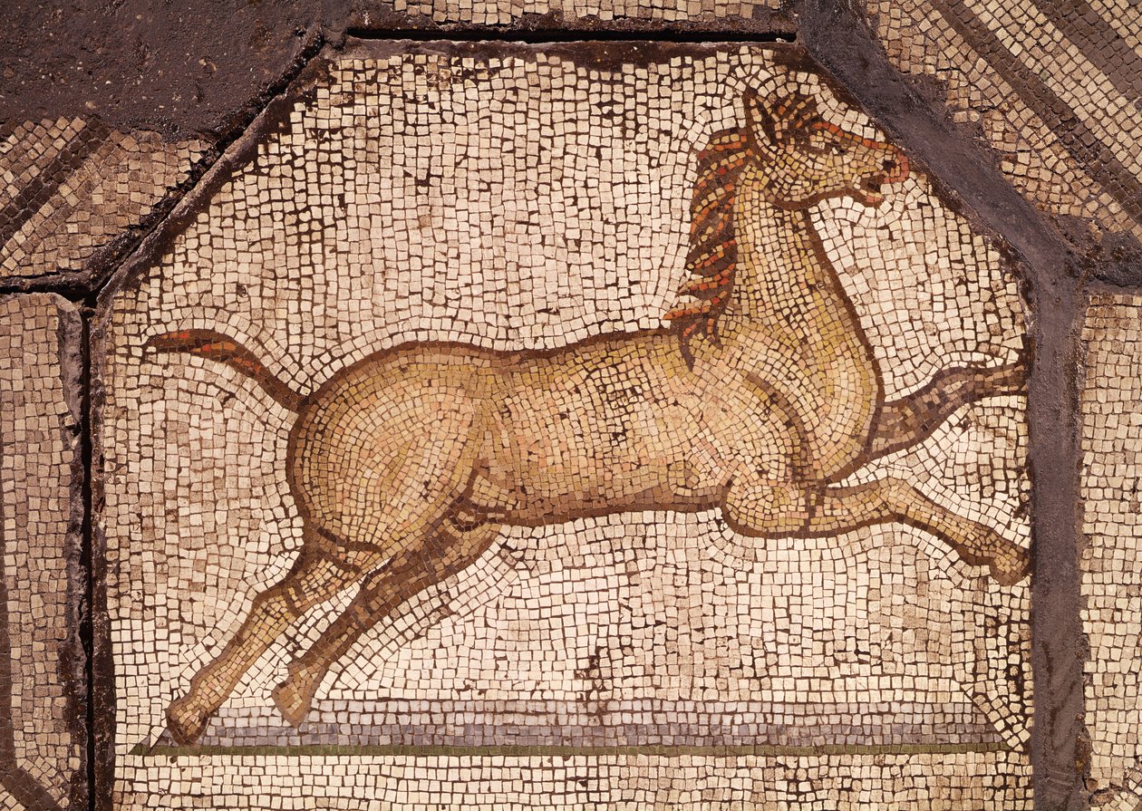 Un Cheval, détail d