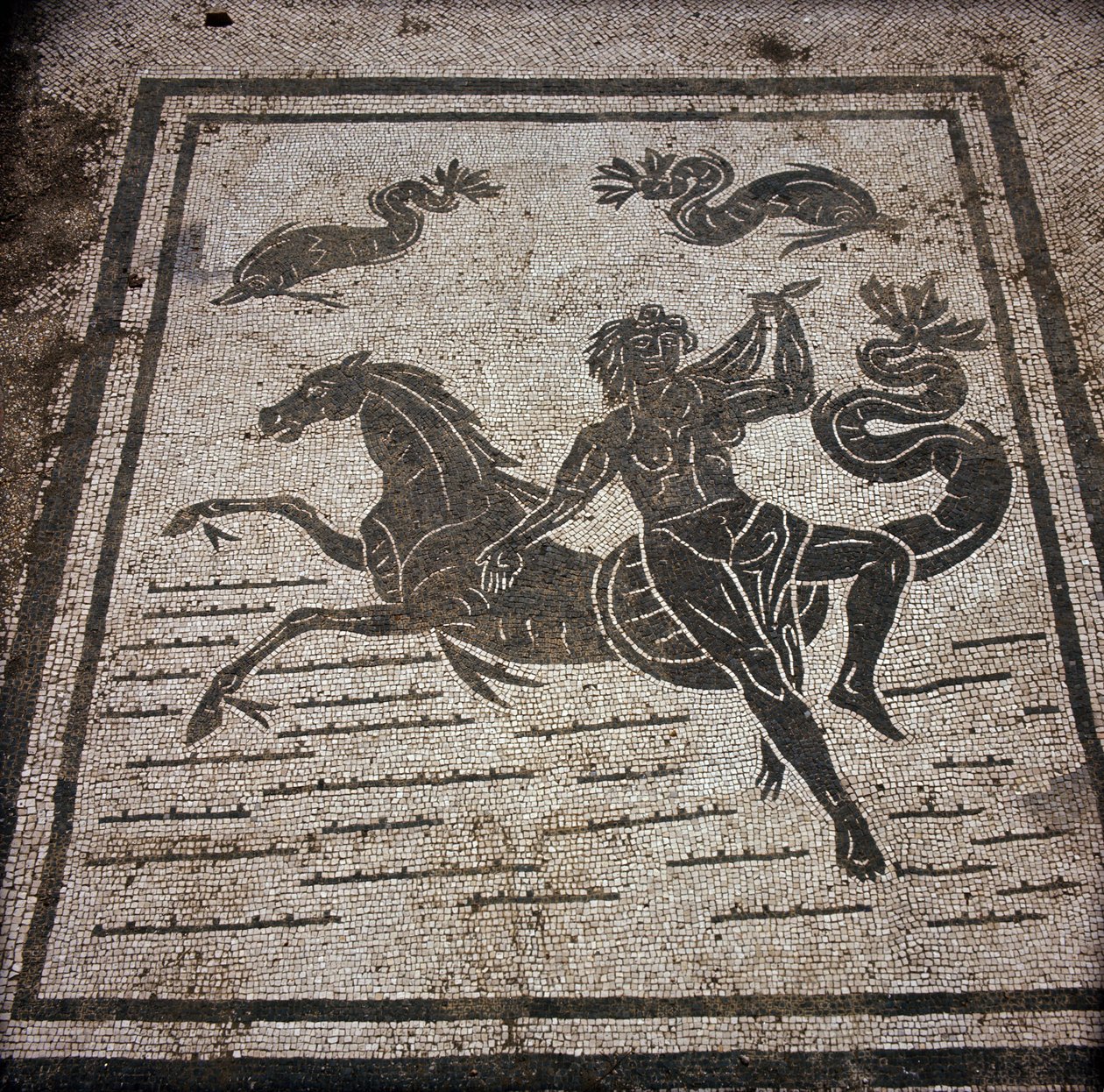 Ostie antique. Place des Corporations. Mosaïque de la Corporation des marins de Sabratha. Une nymphe et un cheval marin. - Roman