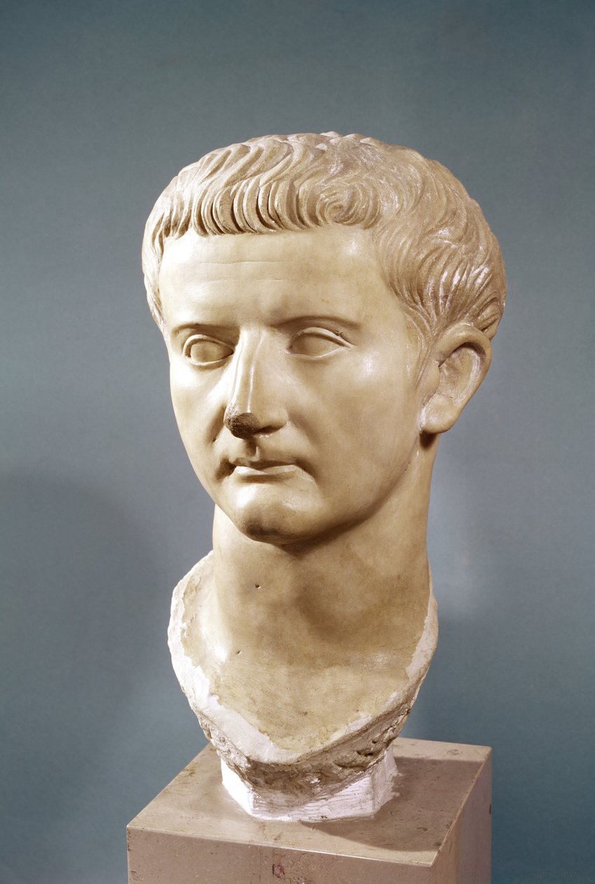 Tête de l