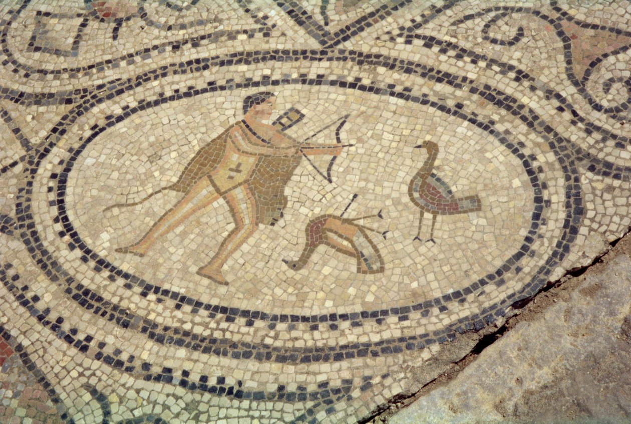 Hercule et les oiseaux de Stymphale, du sol de 