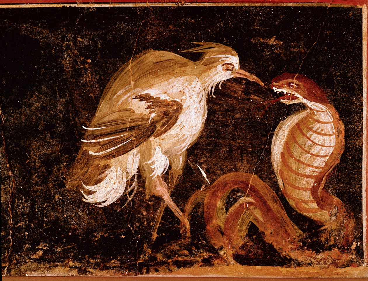 Art romain : Combat entre un héron et un cobra (fresque de la maison des Épigrammes, Pompéi) - Roman