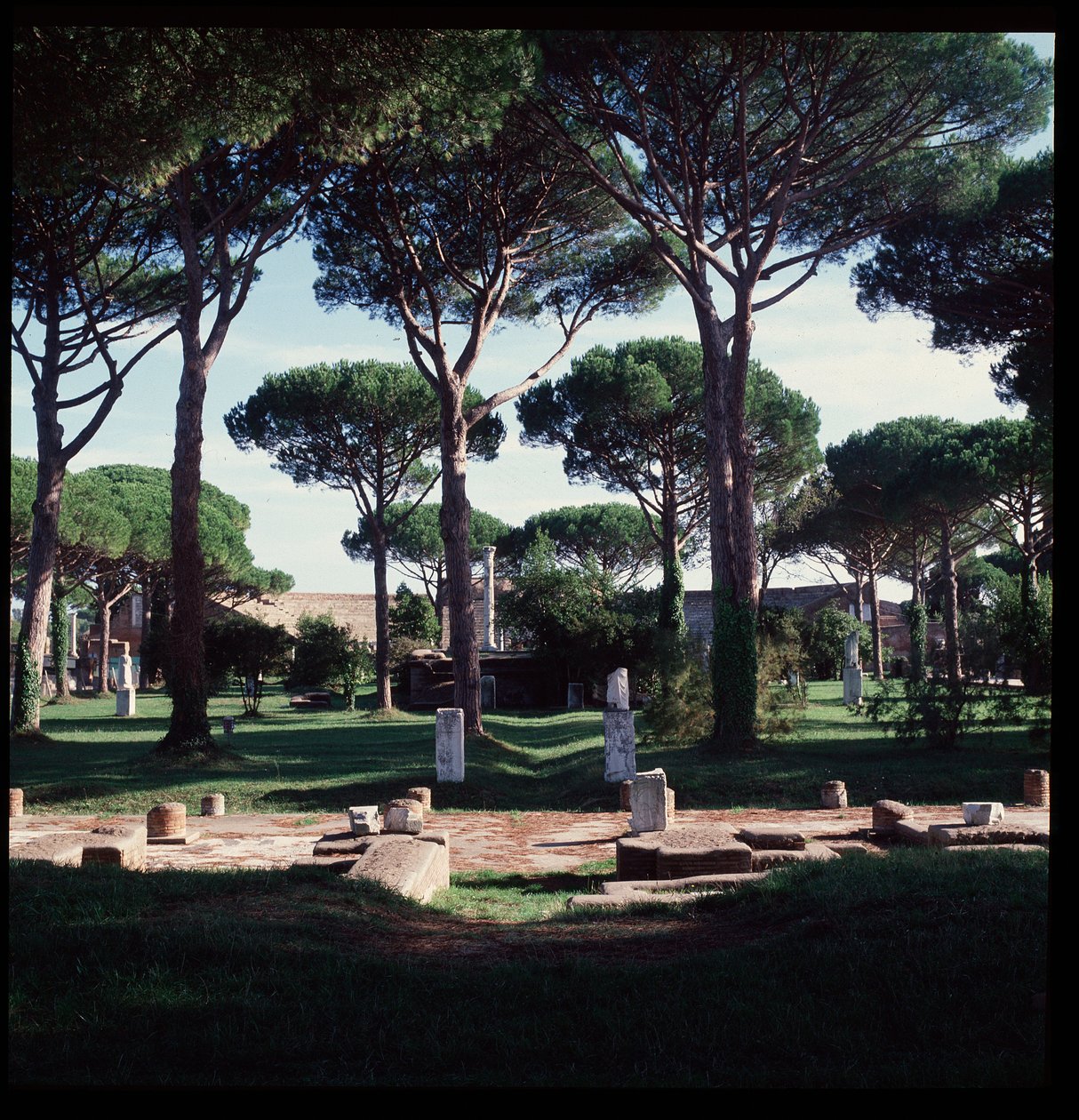 Art romain : vue des ruines du macellum (Place du Marché) site archéologique d