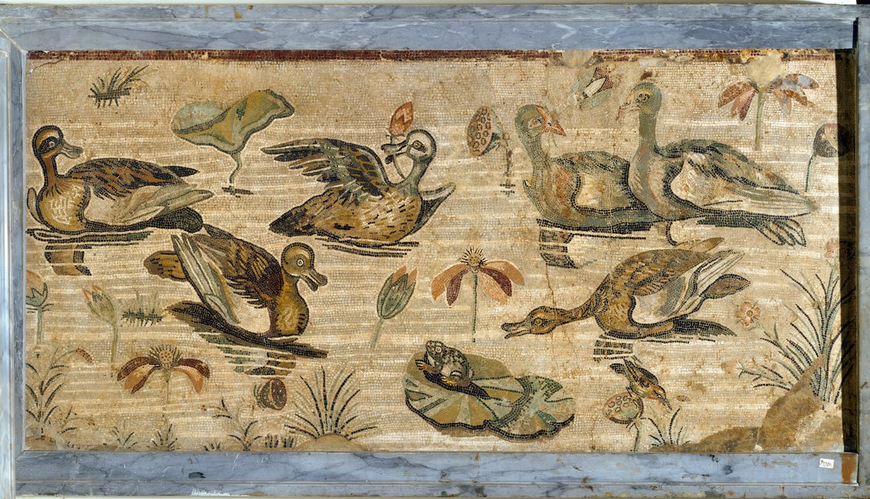 Art romain : canard, grenouille et nénuphars dans un étang. Mosaïque de la villa de la faune à Pompéi. Musée Archéologique National, Naples - Roman
