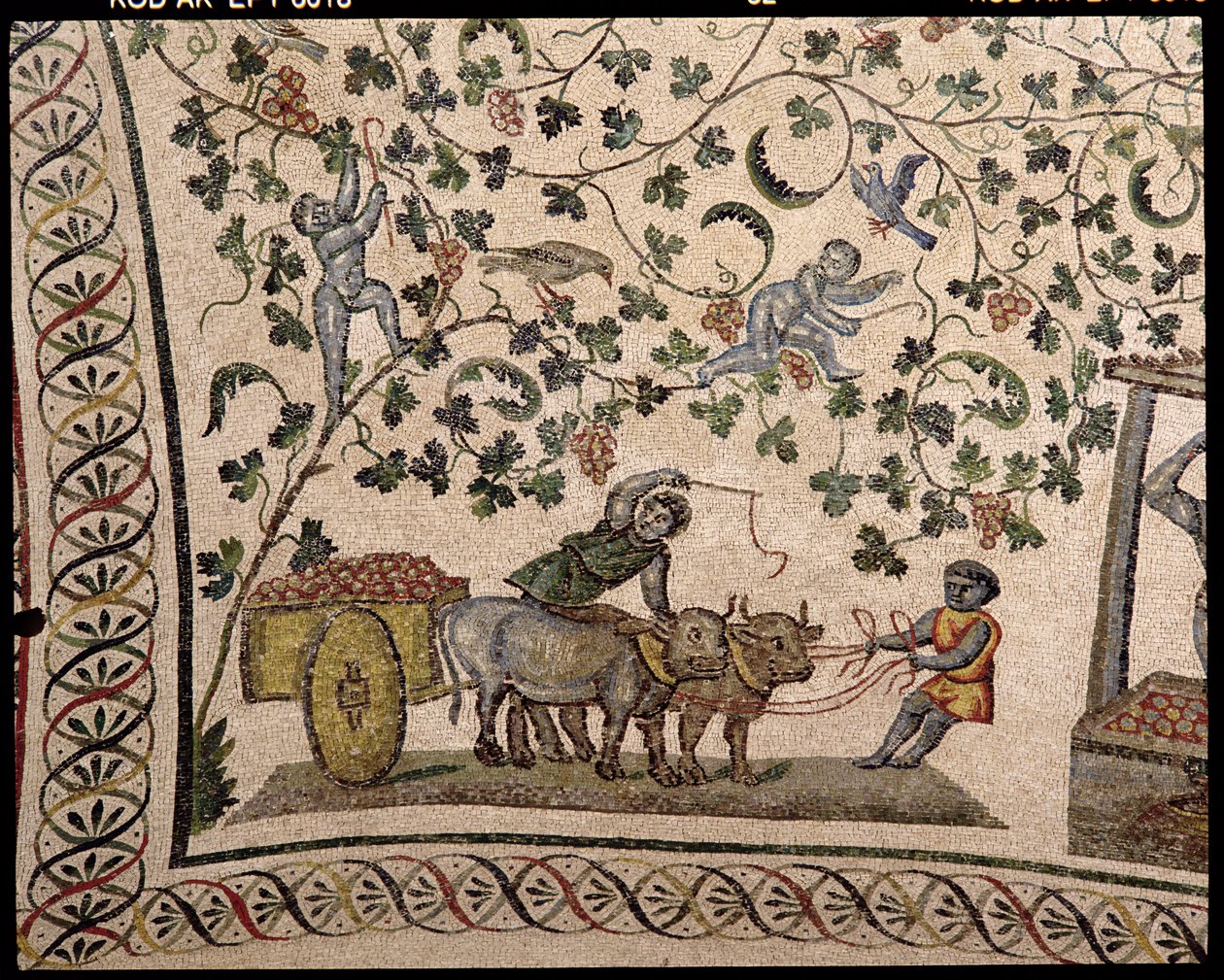 La Récolte des Raisins (mosaïque) - Roman