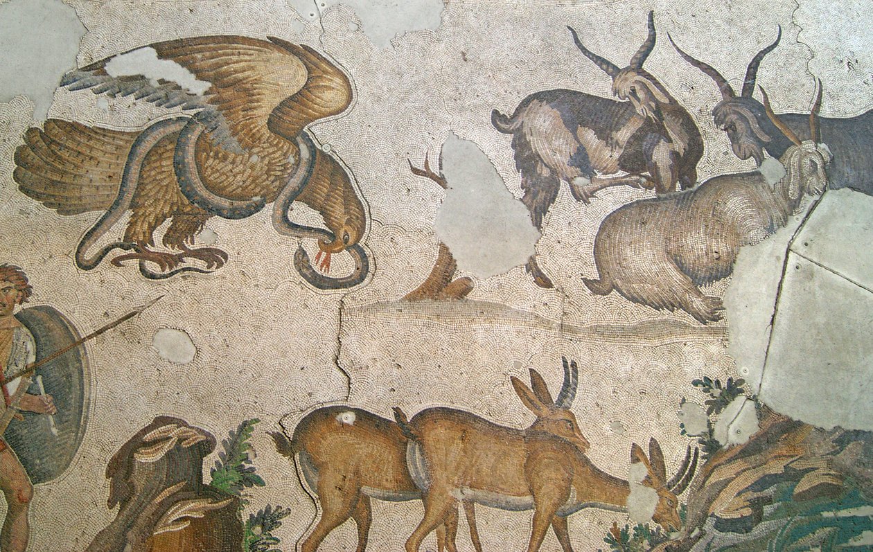 Image Inconnue - Roman