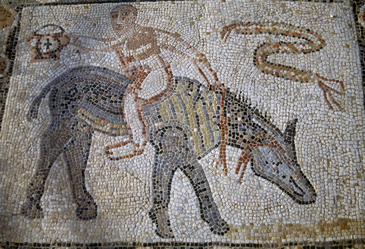 Desultor (athlète sautant d