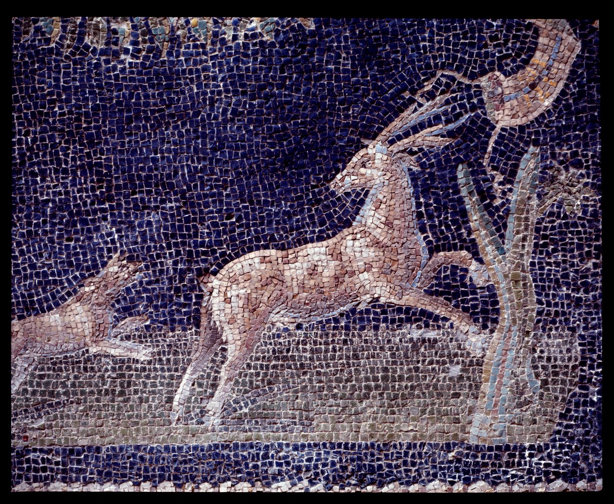 Détail des mosaïques murales du nymphée de la casa di Nettuno e Anfitrite - Roman Roman