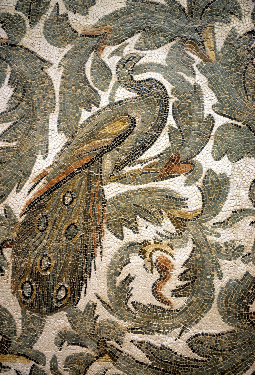 Paon, Détail de Mosaïque - 4e siècle après J.-C., Musée du Bardo, Tunis - Roman Roman