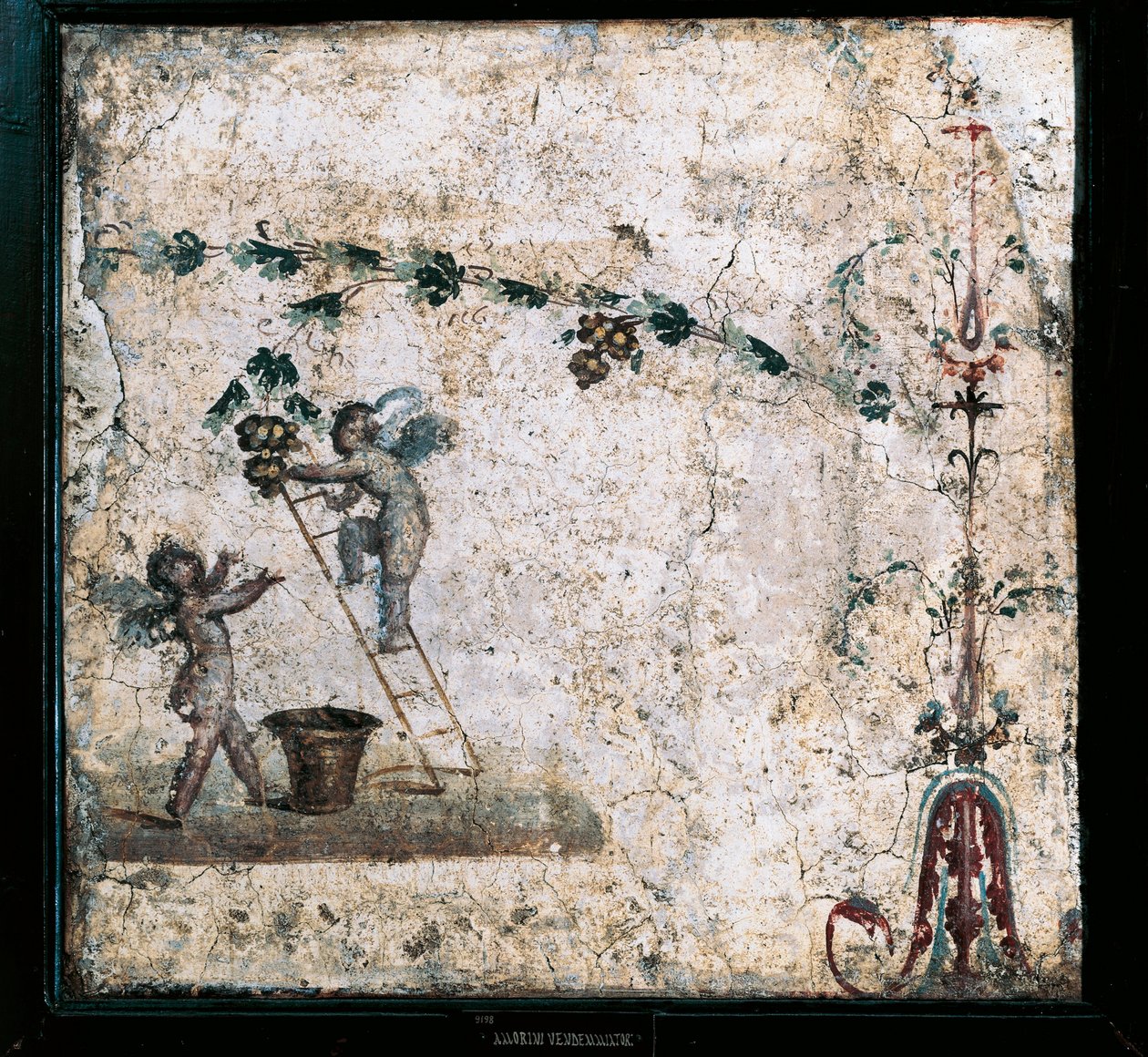 Fresque du troisième style représentant des Cupidons récoltant, de la maison de Marcus Lucretius à Pompéi - Roman Roman