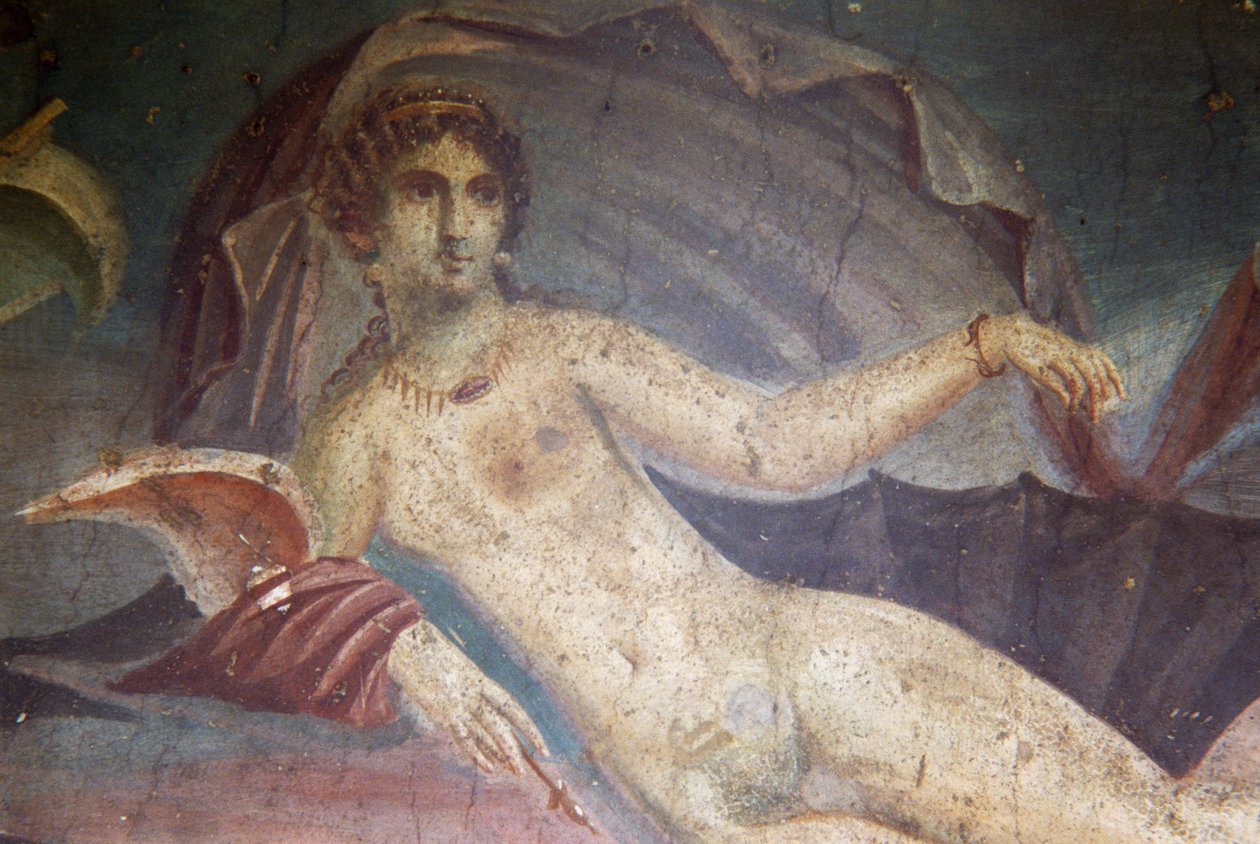 Vénus dans une coquille, détail de la fresque du péristyle, Maison de Vénus dans la Coquille, Pompéi (Liste du patrimoine mondial de l