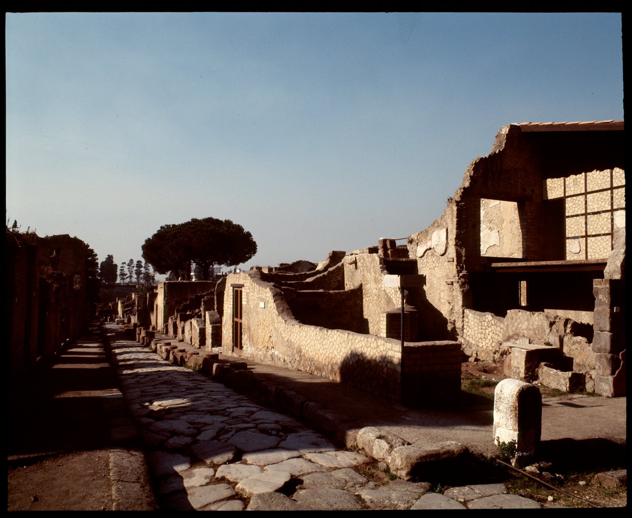 Vue du Decumanus Maximus, Ve siècle av. J.-C.-Ier siècle apr. J.-C. - Roman Roman