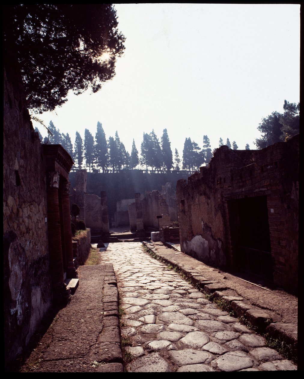 Vue du cardo V, Ve siècle av. J.-C.-Ier siècle après J.-C. - Roman Roman
