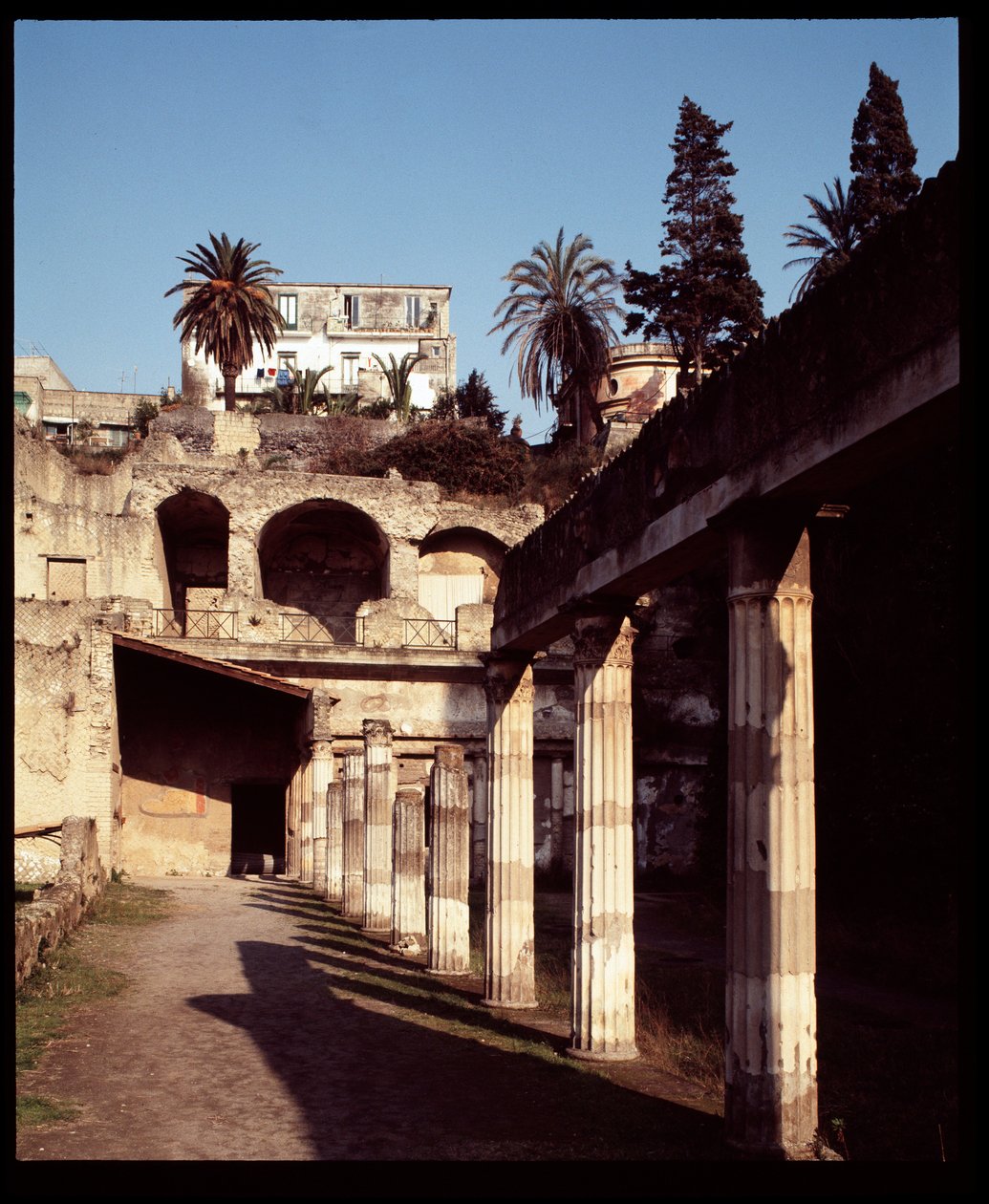 Vue de la palestre - Roman Roman