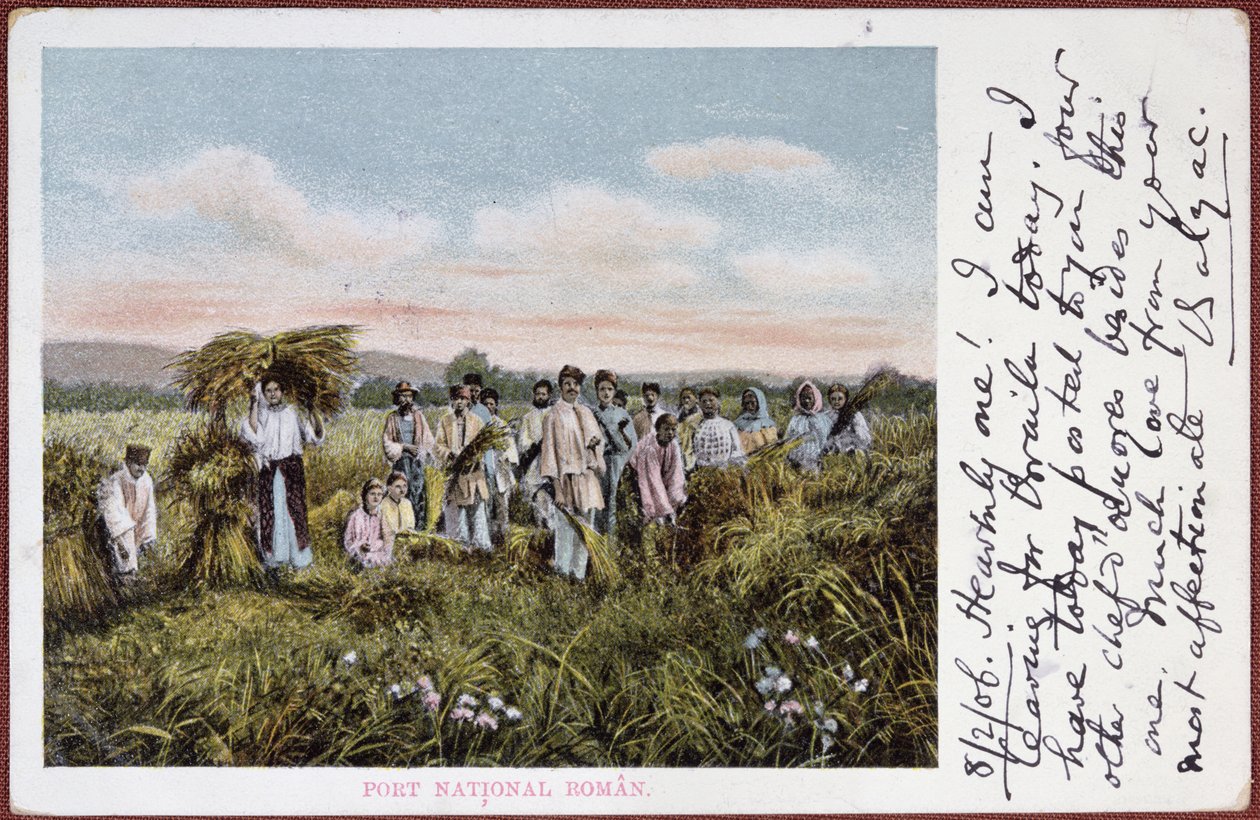 Carte postale représentant des paysans roumains récoltant, 1906 - Romanian School