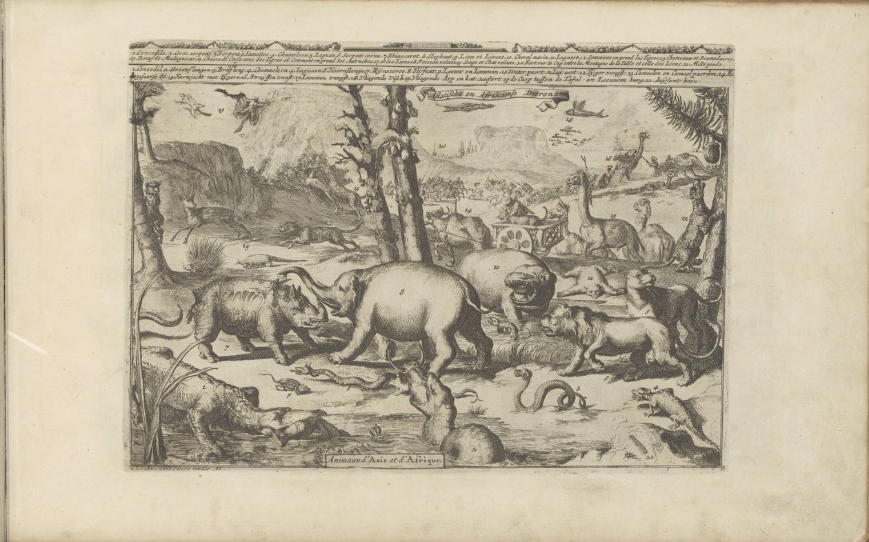 Animaux asiatiques et africains - Romeyn de Hooghe