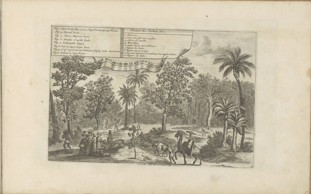 Arbres et épices - Romeyn de Hooghe