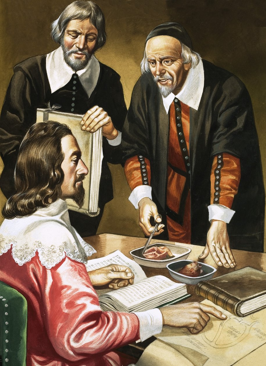 Charles Ier et William Harvey discutent du cœur - Ron Embleton