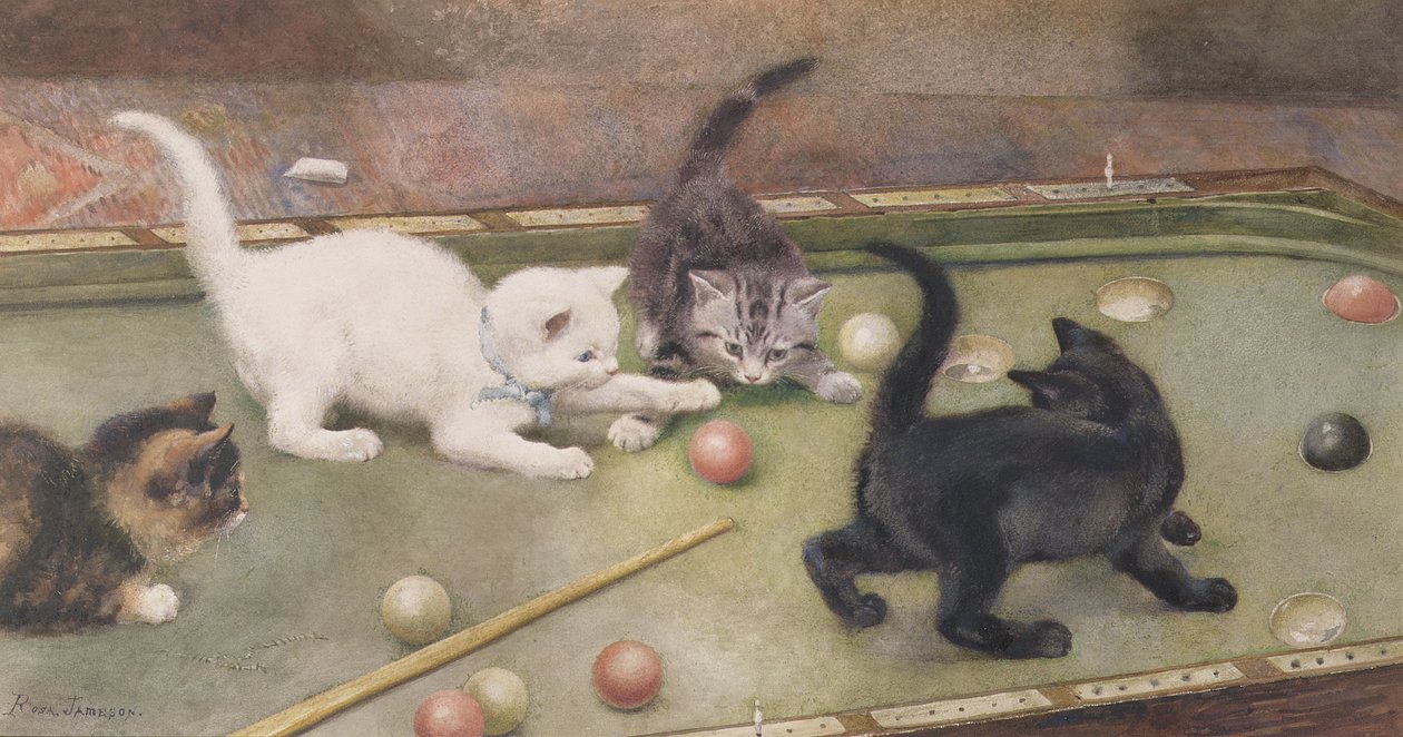 Billard bar - Rosa Jameson