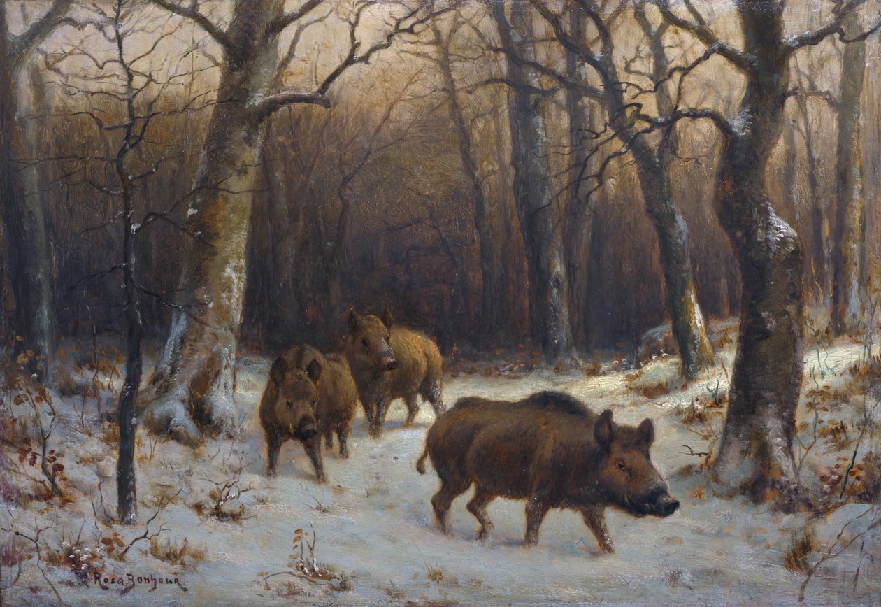 Français :  Sangliers dans la neige Wild Boars in the Snow - Rosa Bonheur