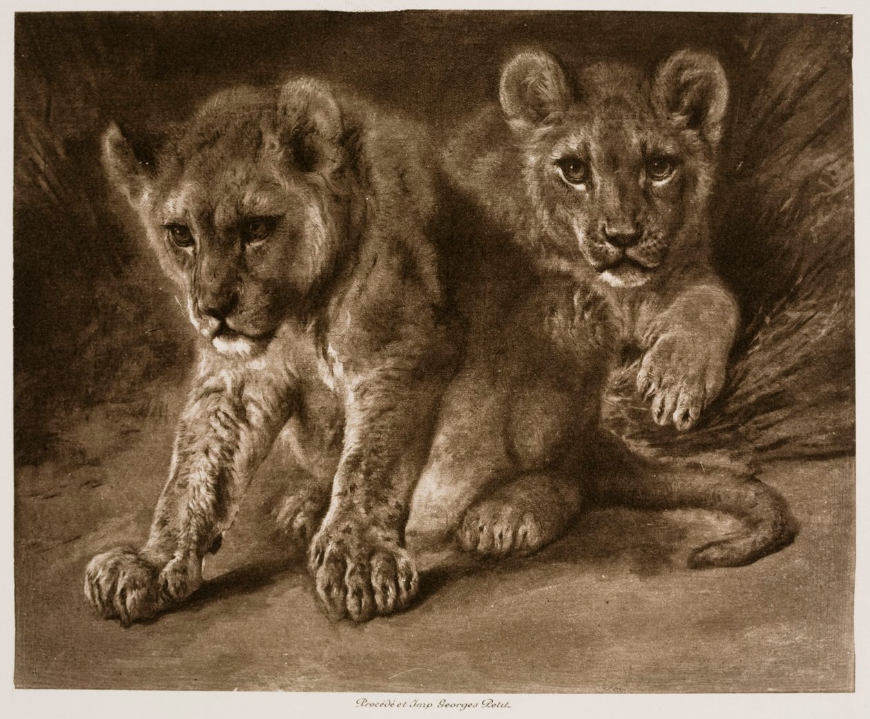 Deux lionceaux - Rosa Bonheur
