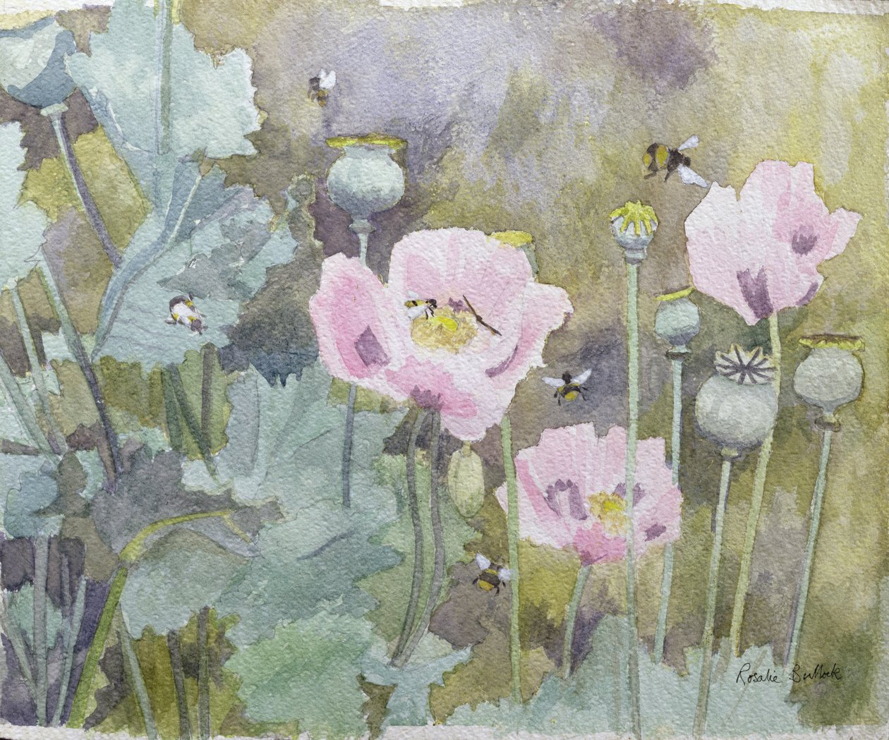 Coquelicots roses avec des abeilles - Rosalie Bullock