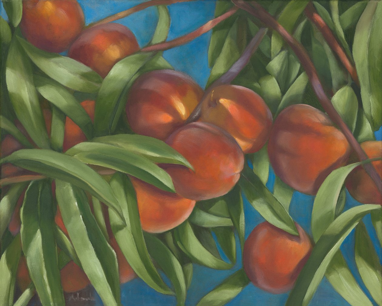 Pêcher, 2014 - Rosemarie Adcock
