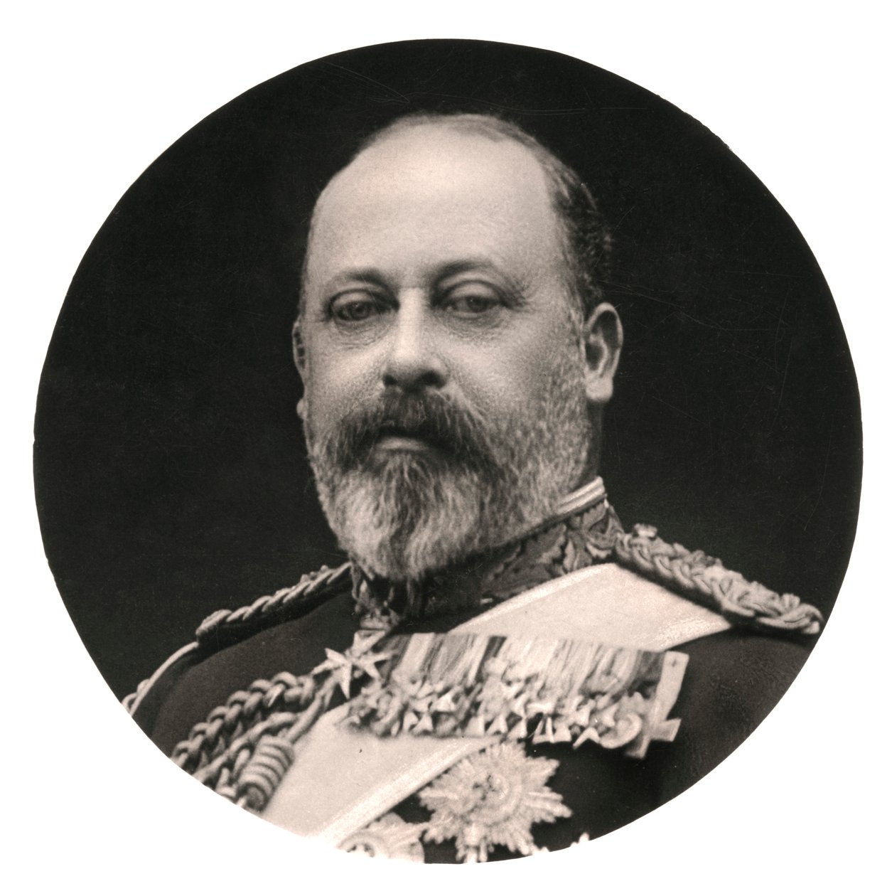 Le roi Édouard VII, 20e siècle - Rotary Photo