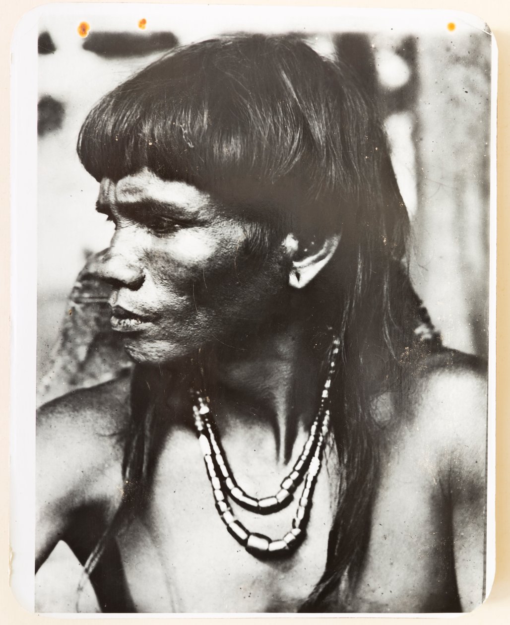 Ifugao du village de Pindungan, 1919 (photo n/b) - Roy Barton