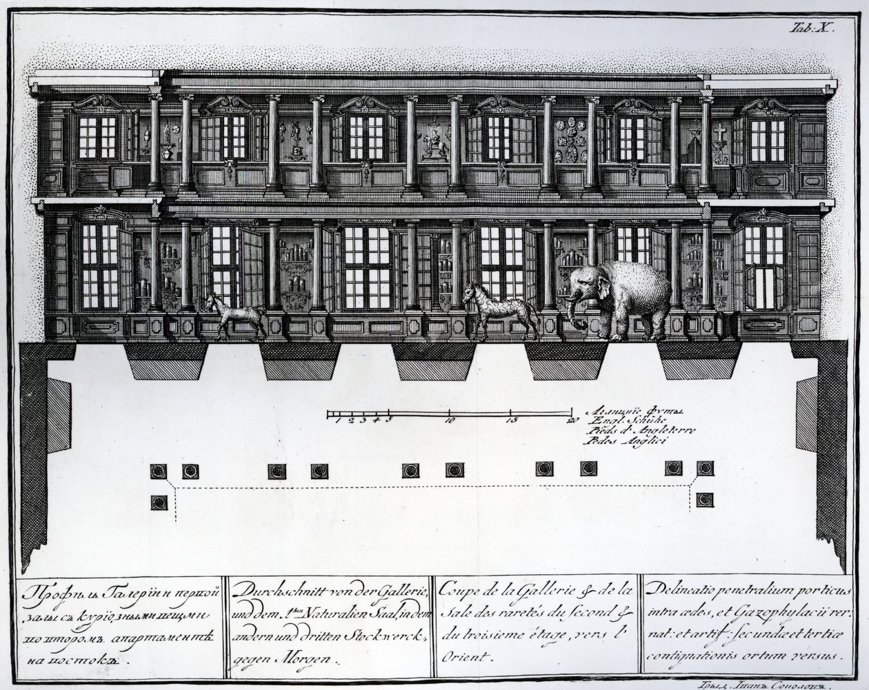 Vue en coupe des deuxième et troisième étages de la Salle des Raretés vers l