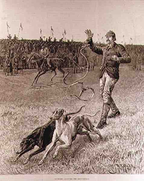 Coursing: Lâcher les lévriers, de 