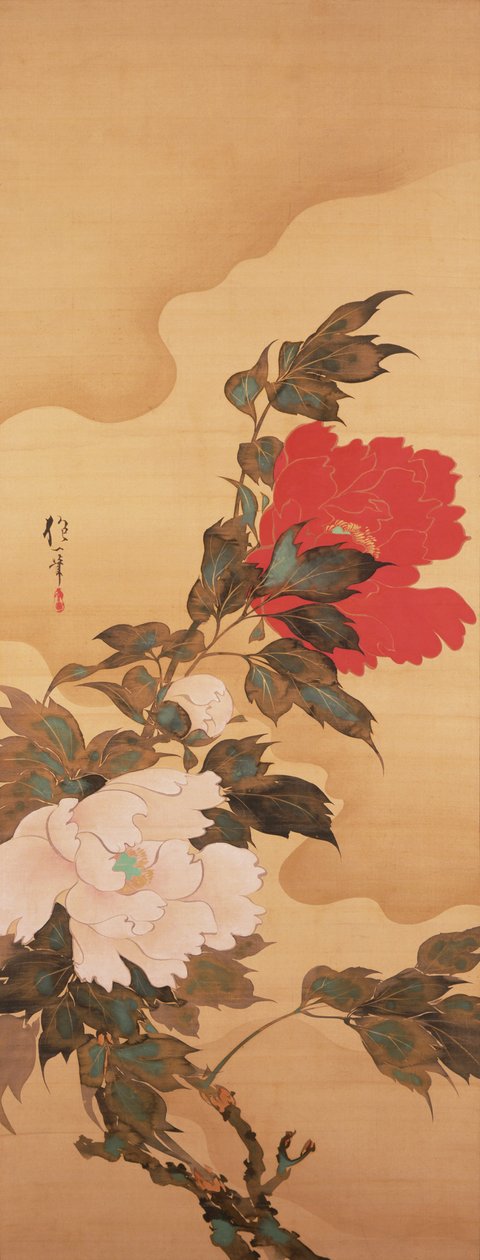 Pfingstrosen im Wind - Sakai Hoitsu