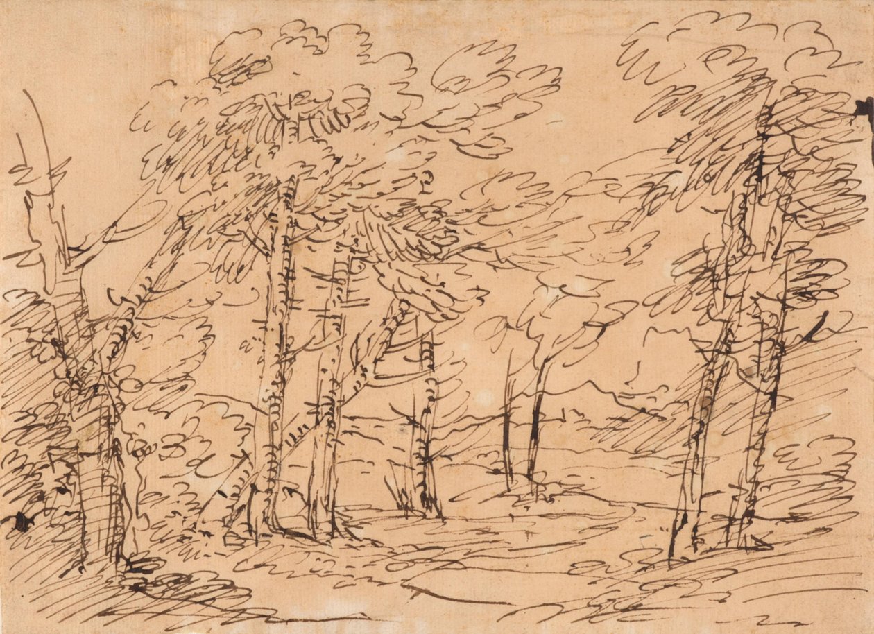 Paysage avec des arbres et des montagnes à l