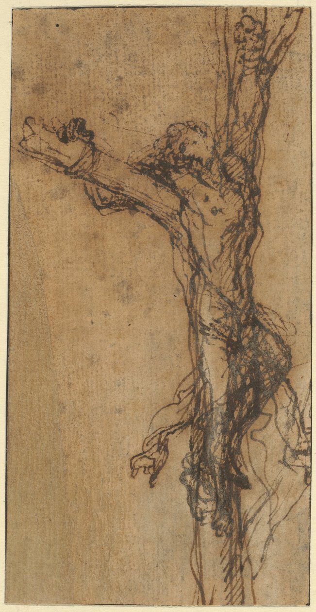Étude pour la crucifixion de Polycrate - Salvator Rosa