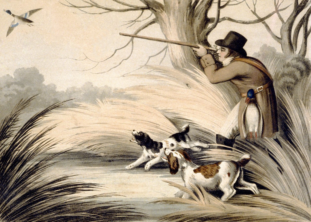 Chasse au canard, gravée par H. Merke, vers 1809 - Samuel (after) Howitt