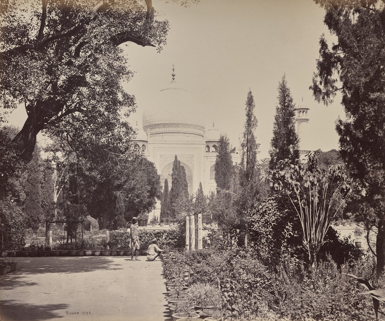 Agra. Vue du Taj depuis le jardin - Samuel Bourne