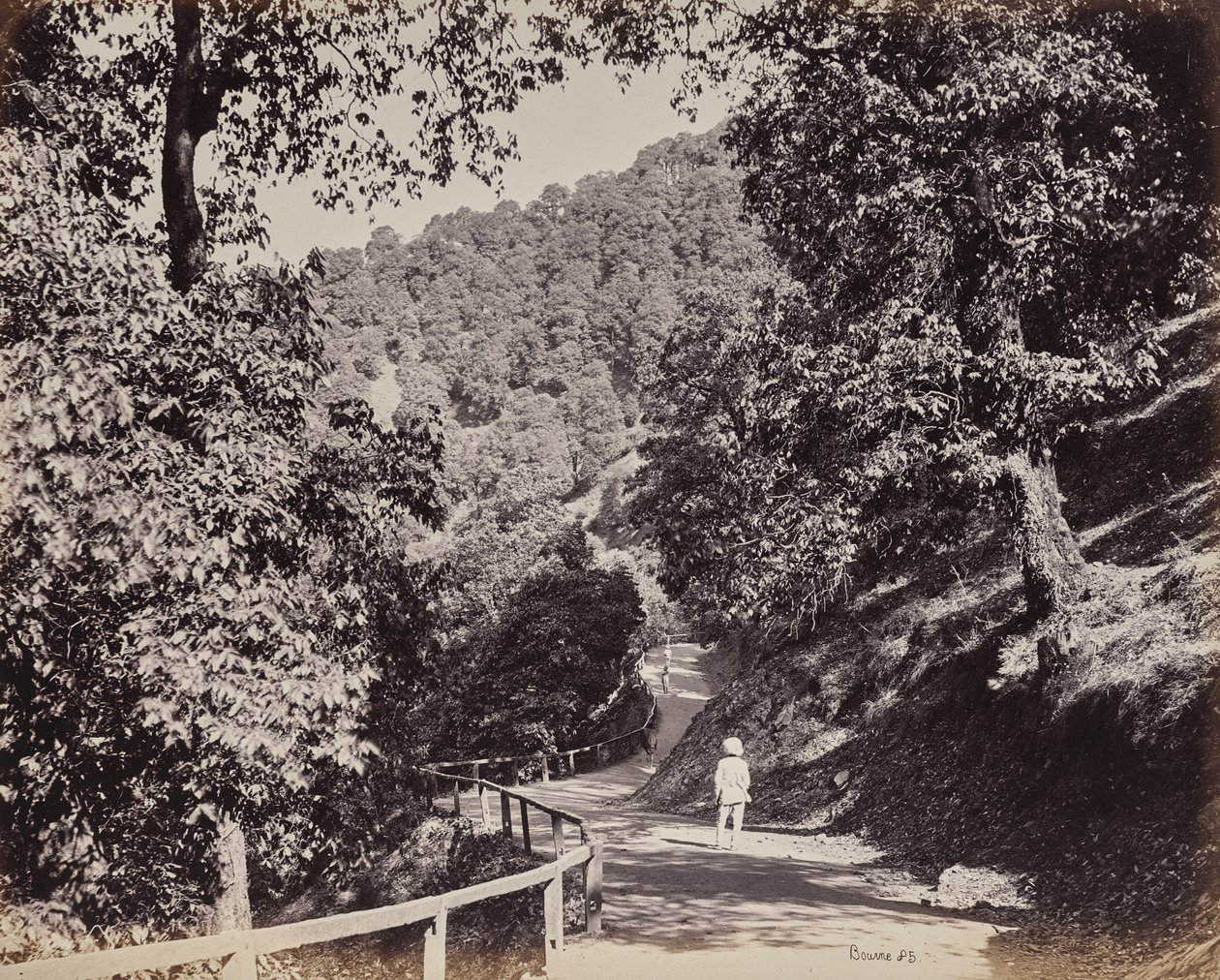 Shimla. Le Mall près de Rabq Lodge - Samuel Bourne