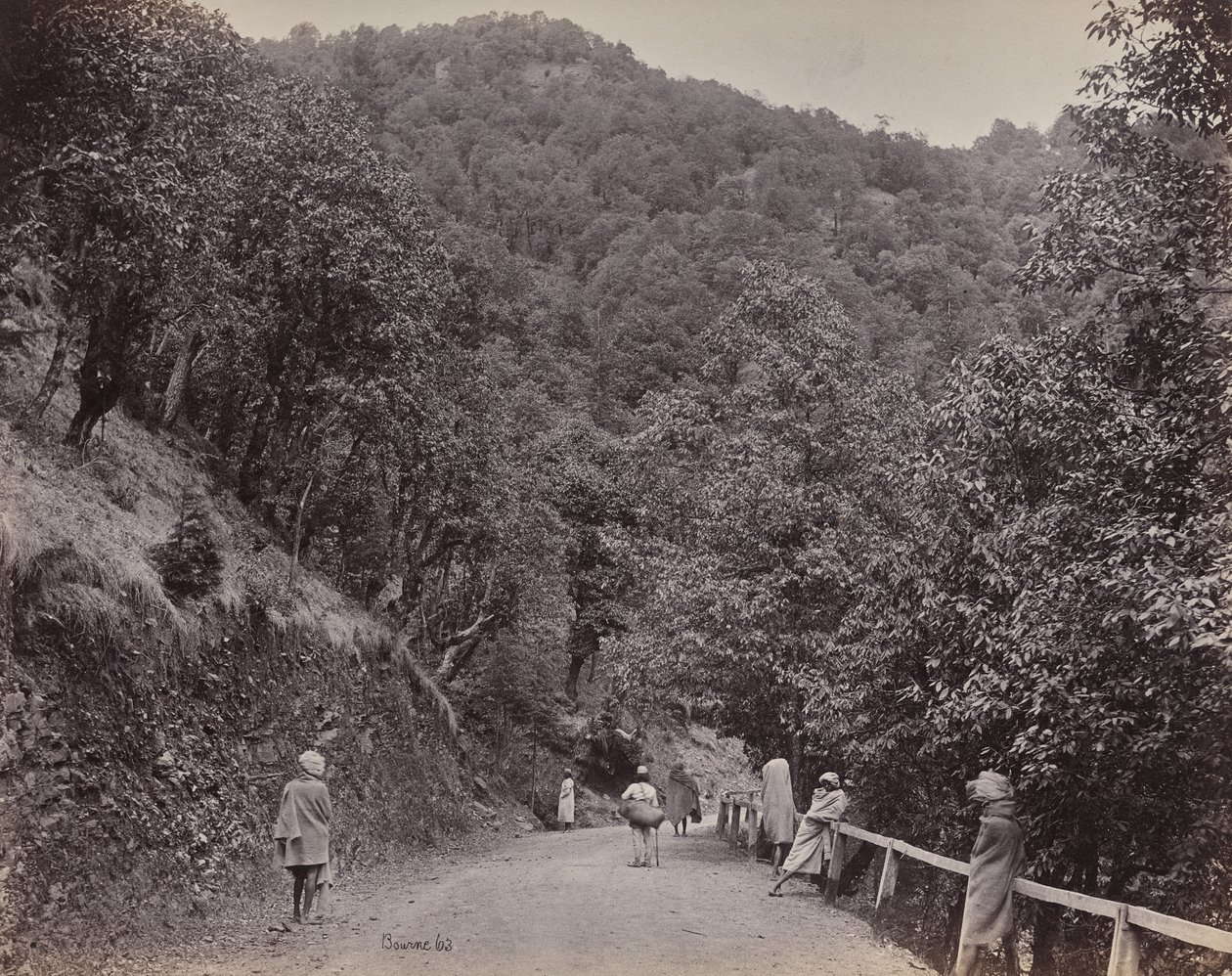 Shimla. Le Mall ou la rue principale - Samuel Bourne
