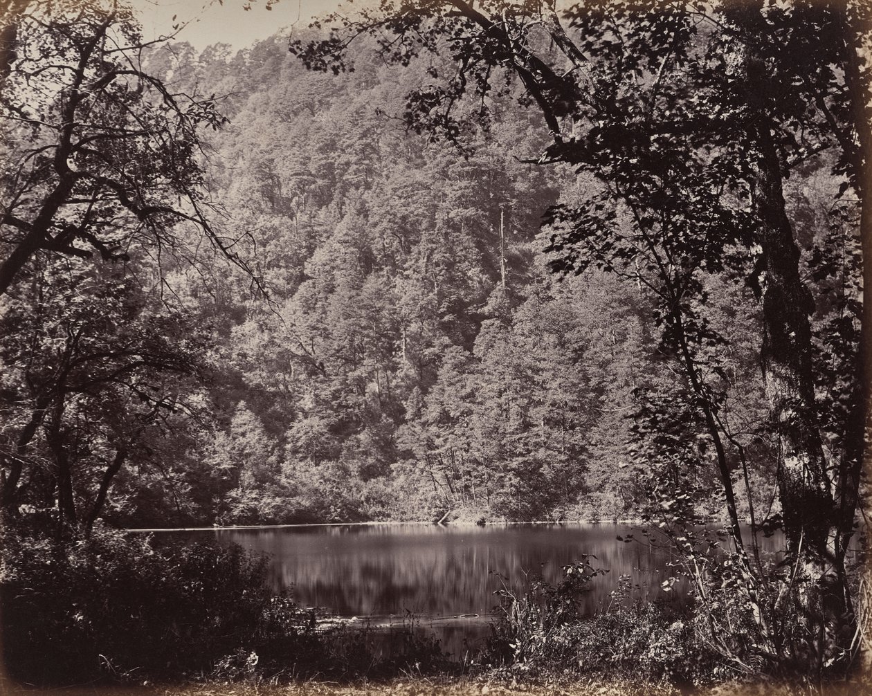 Les Hauts Himalayas. Le Dodee Tal, au bord du lac - Samuel Bourne