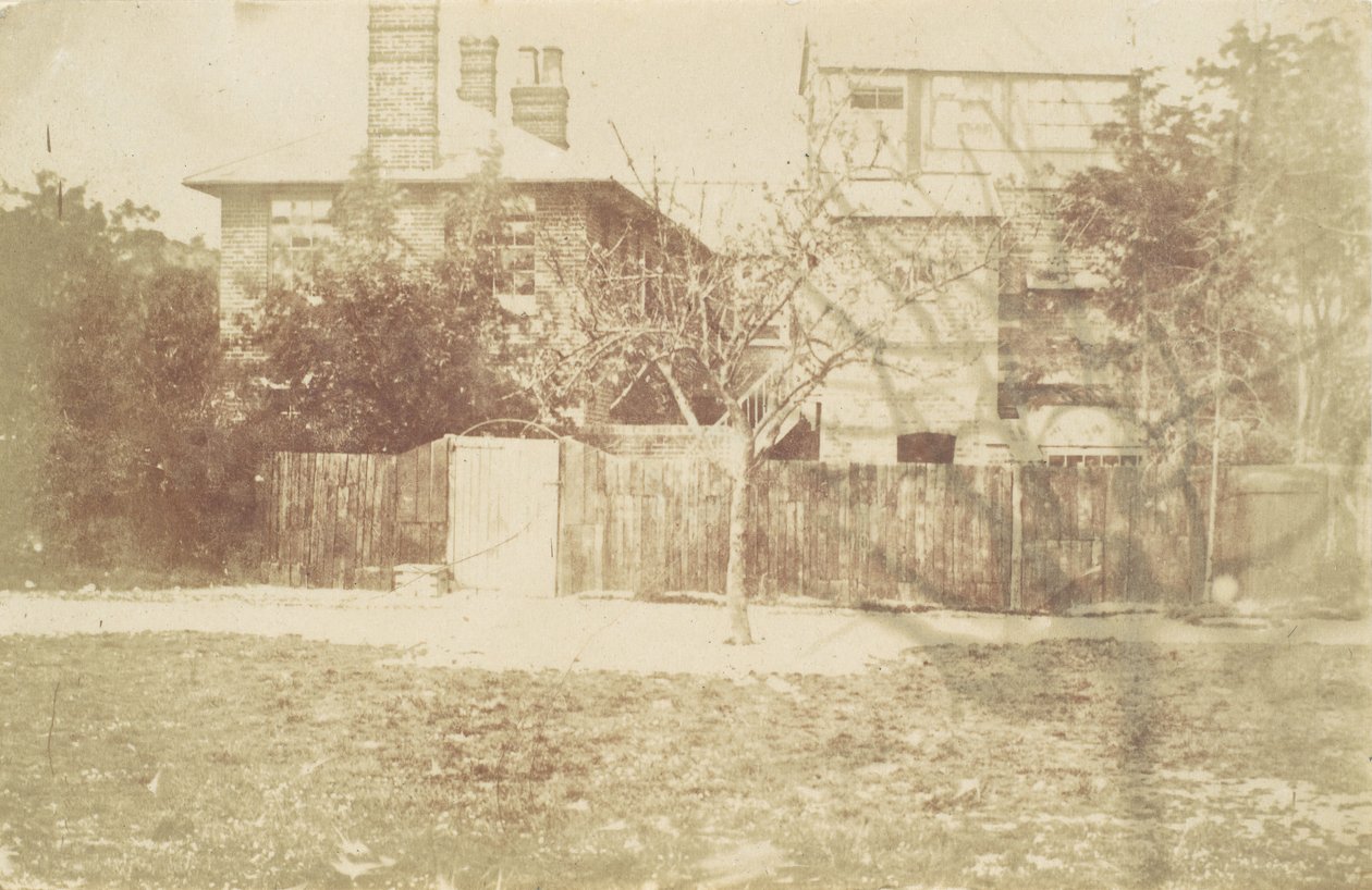 Arbre dans la cour, années 1850 - Samuel Buckle