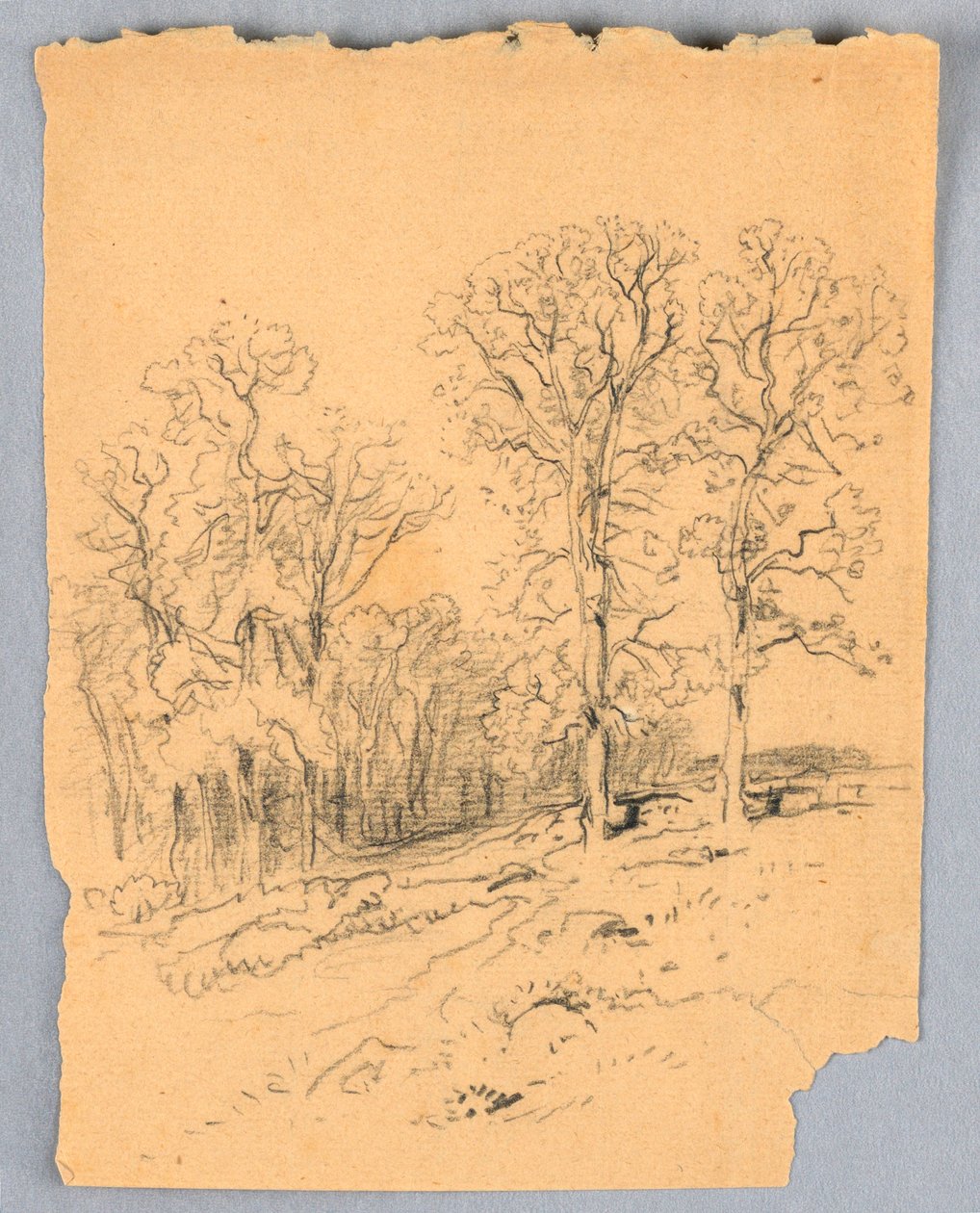 Dessin, Esquisse d