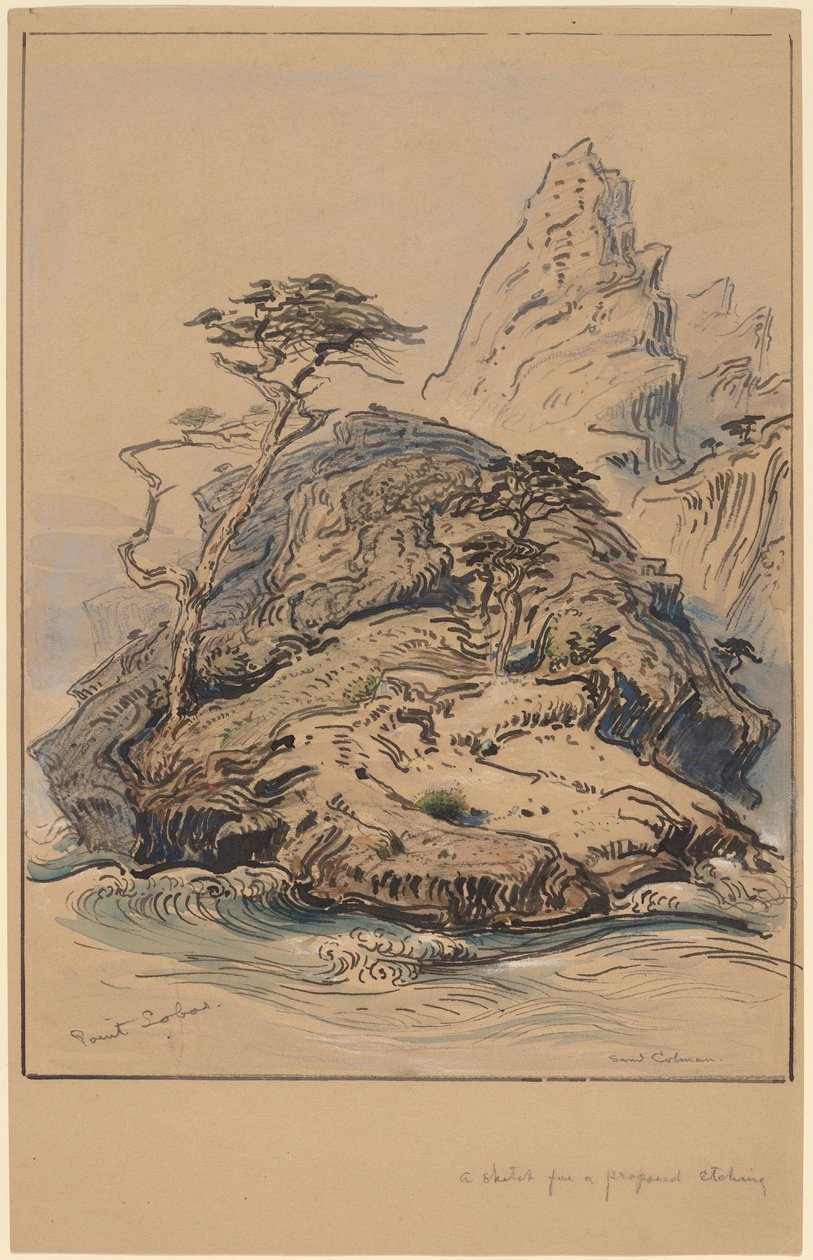 Point Lobos, Californie - Samuel Colman