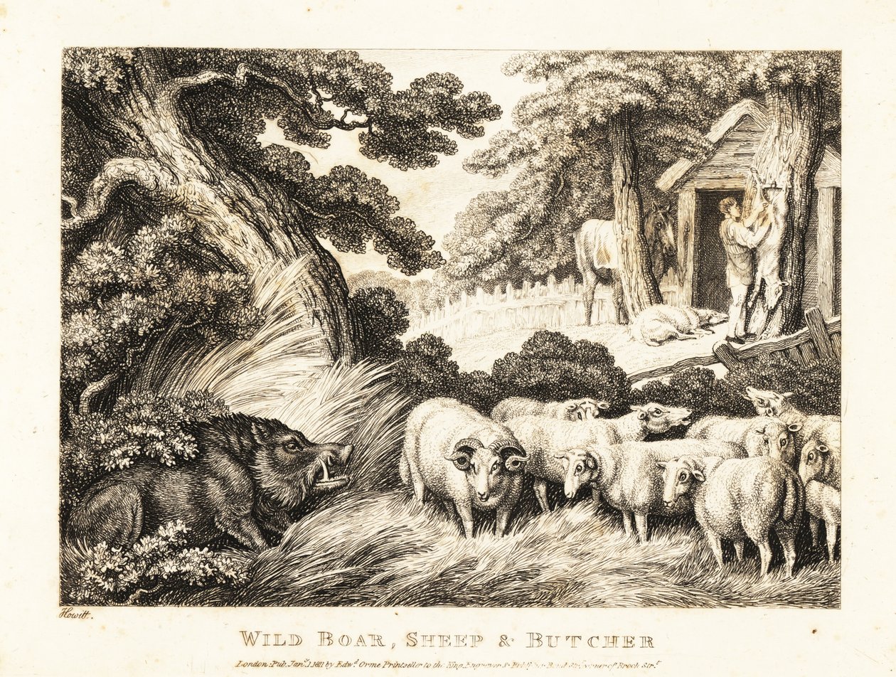 Un troupeau de moutons attend d